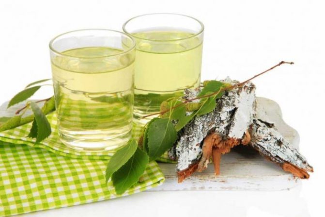 Birch sap is a storehouse of substances beneficial to the human body.