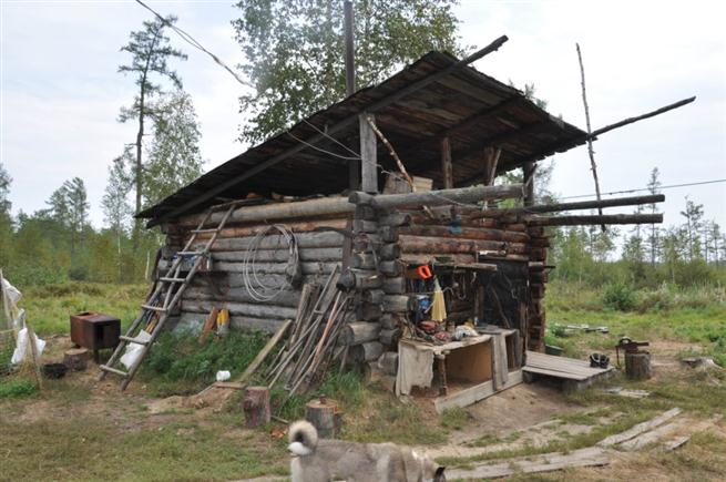 How to build a winter hut in the taiga?