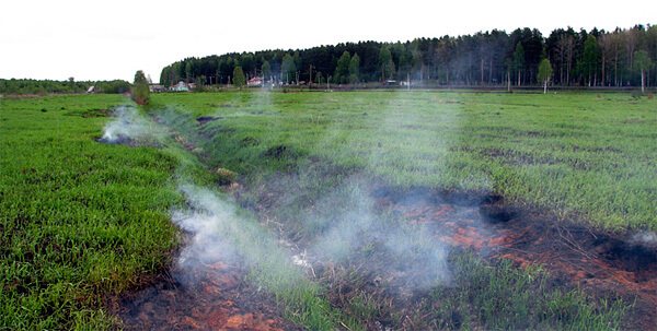 In place of the drained swamp, a layer of peat was exposed, which then caught fire from an accidentally thrown cigarette butt or, possibly, from a fire.