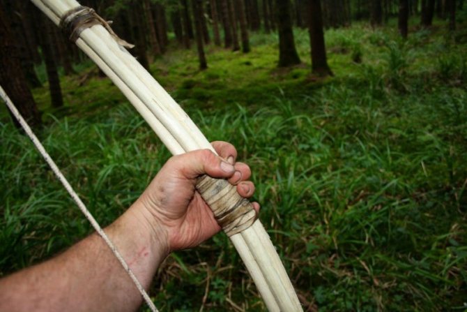 QeKidMy0hdk - Делаем охотничий лук для выживания в лесу
