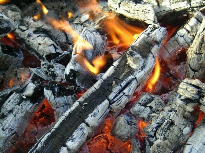 Making fire and campfire
