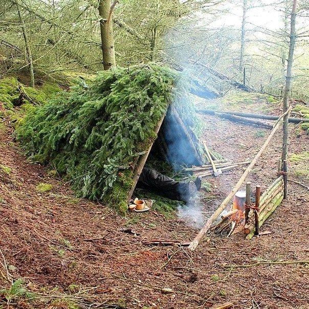 Hut made of poles, spruce branches and moss