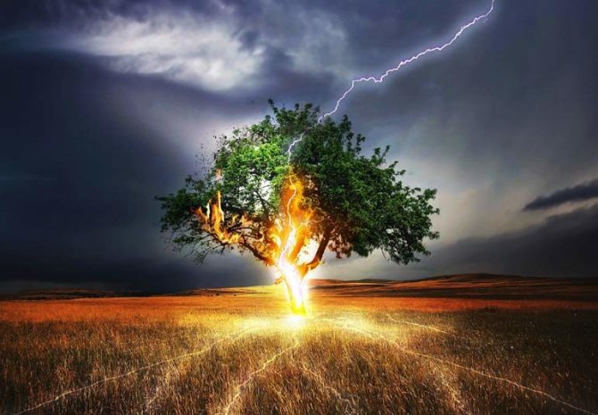 Удар молнии в дерево