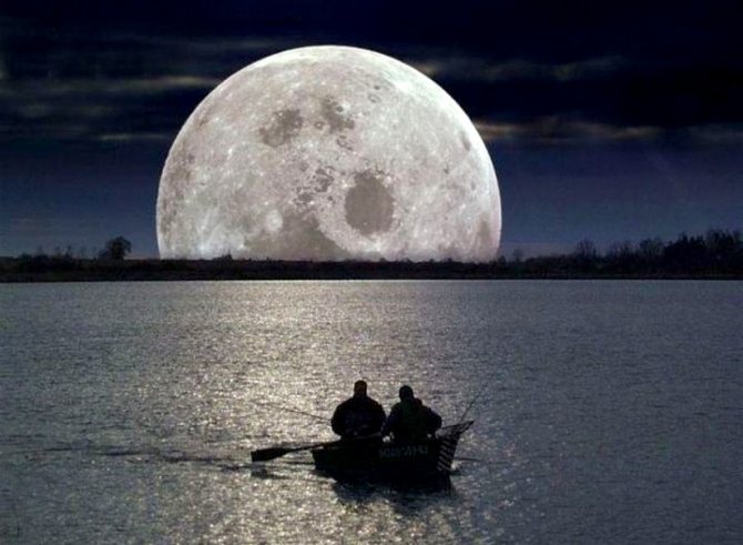 Влияние луны на рыбалку