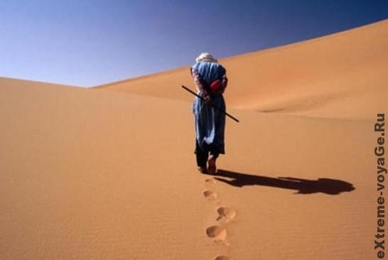 Выживание в пустыне: поиск и добыча воды
