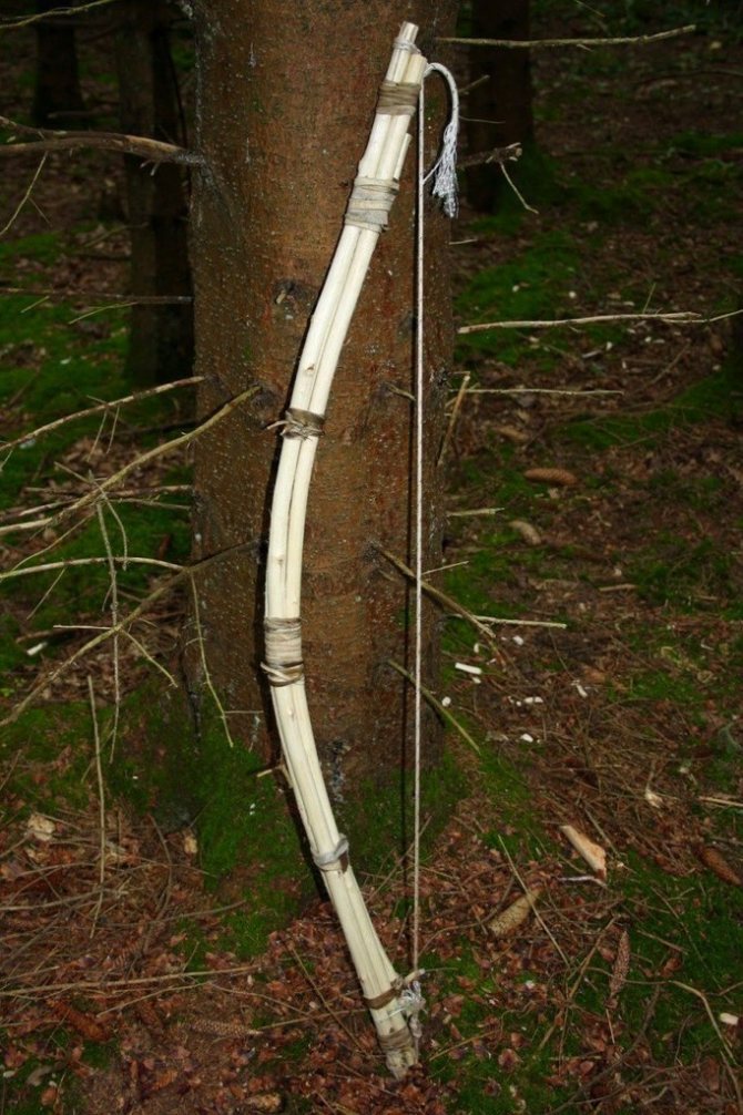 yVGGZ 7K658 - Делаем охотничий лук для выживания в лесу