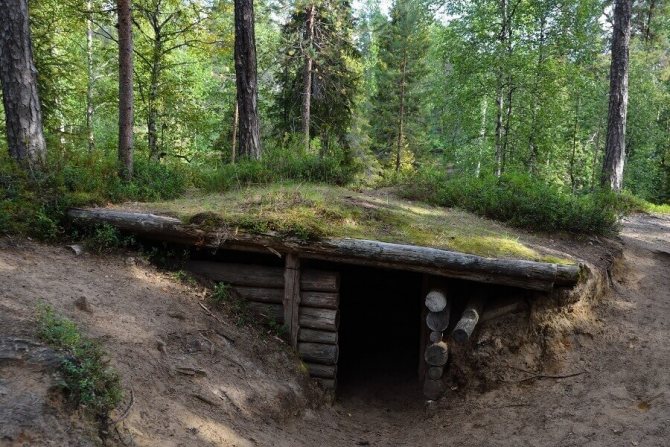 Dugout in the forest
